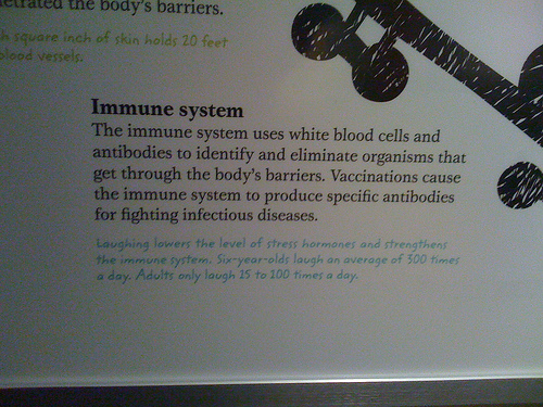 immune_system
